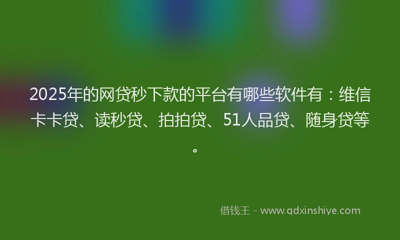 2025年的网贷秒下款的平台有哪些软件有：维信卡卡贷、读秒贷、拍拍贷、51人品贷、随身贷等。