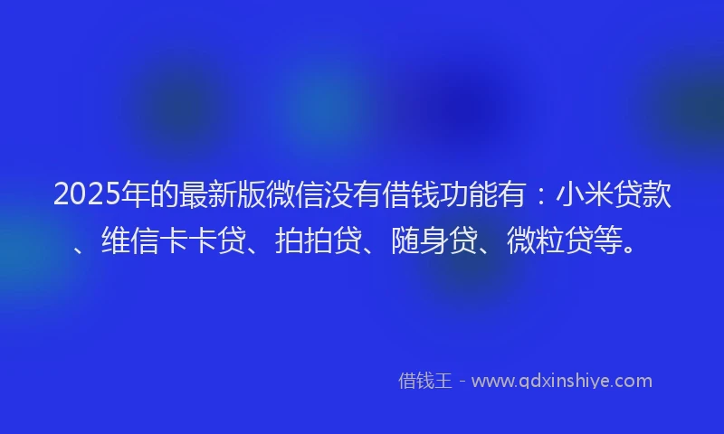 2025年的最新版微信没有借钱功能有：小米贷款、维信卡卡贷、拍拍贷、随身贷、微粒贷等。