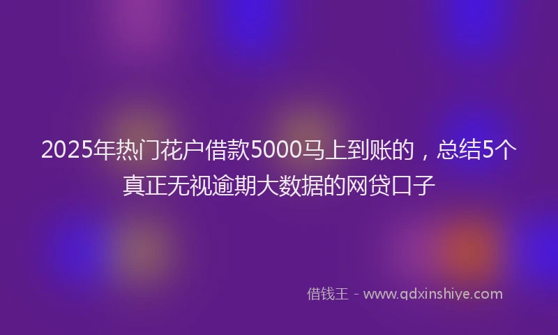2025年热门花户借款5000马上到账的，总结5个真正无视逾期大数据的网贷口子