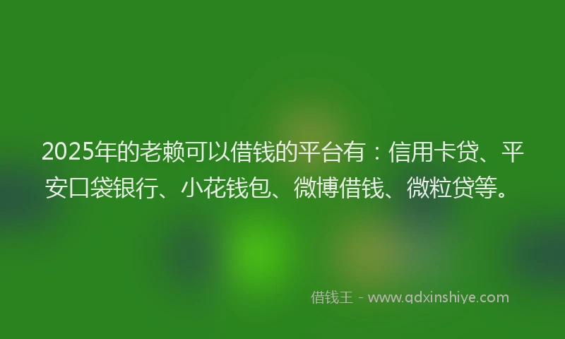 2025年的老赖可以借钱的平台有：信用卡贷、平安口袋银行、小花钱包、微博借钱、微粒贷等。