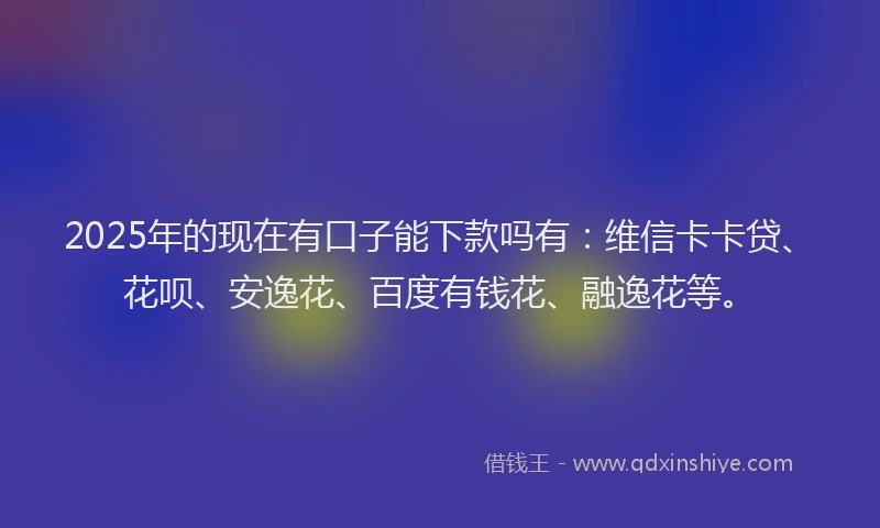 2025年的现在有口子能下款吗有：维信卡卡贷、花呗、安逸花、百度有钱花、融逸花等。