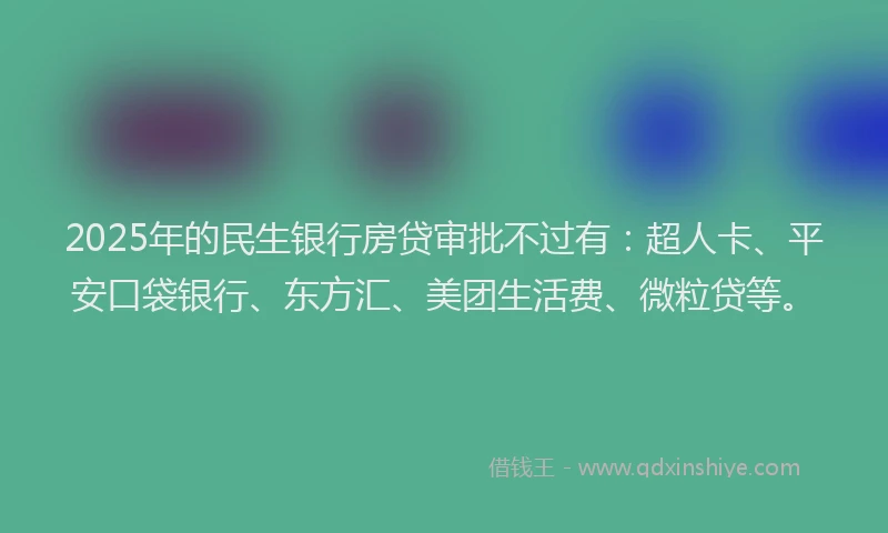 2025年的民生银行房贷审批不过有：超人卡、平安口袋银行、东方汇、美团生活费、微粒贷等。