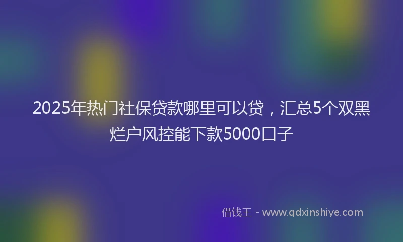 2025年热门社保贷款哪里可以贷，汇总5个双黑烂户风控能下款5000口子