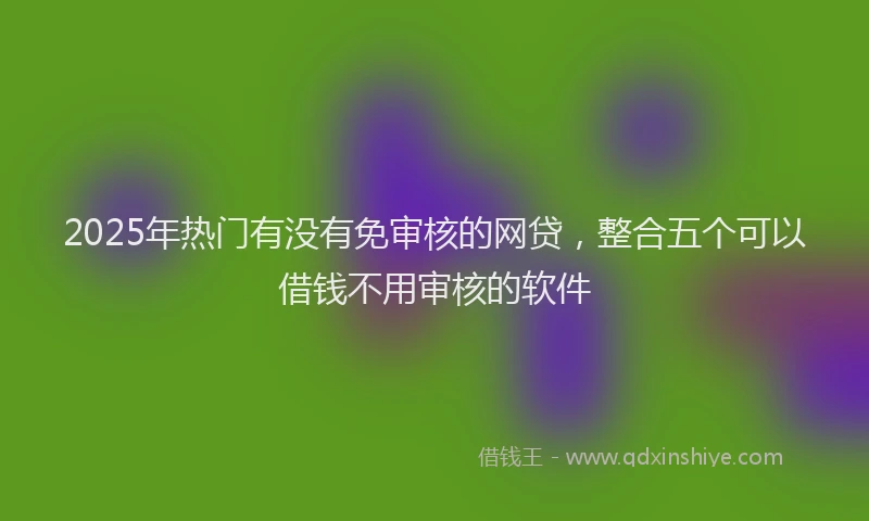 2025年热门有没有免审核的网贷，整合五个可以借钱不用审核的软件