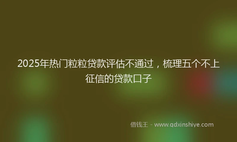 2025年热门粒粒贷款评估不通过，梳理五个不上征信的贷款口子