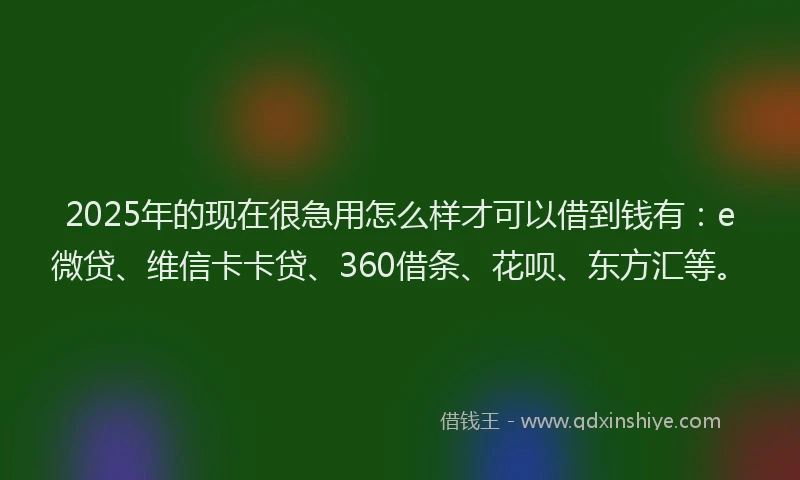 2025年的现在很急用怎么样才可以借到钱有：e微贷、维信卡卡贷、360借条、花呗、东方汇等。