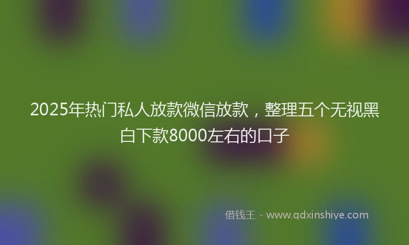 2025年热门私人放款微信放款，整理五个无视黑白下款8000左右的口子