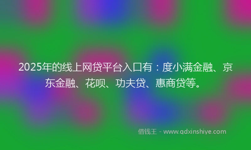 2025年的线上网贷平台入口有：度小满金融、京东金融、花呗、功夫贷、惠商贷等。
