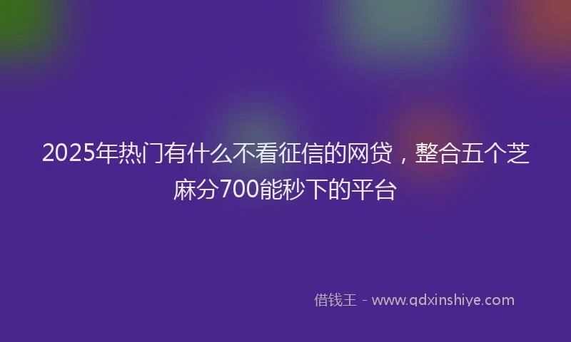 2025年热门有什么不看征信的网贷，整合五个芝麻分700能秒下的平台