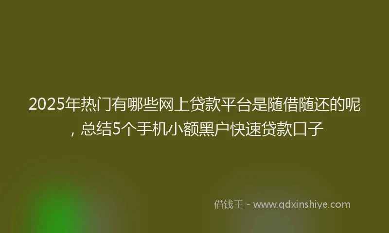 2025年热门有哪些网上贷款平台是随借随还的呢，总结5个手机小额黑户快速贷款口子