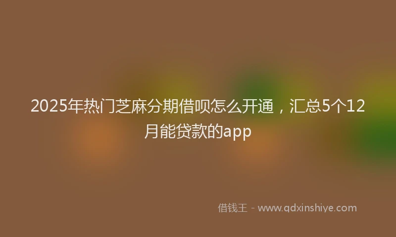 2025年热门芝麻分期借呗怎么开通，汇总5个12月能贷款的app