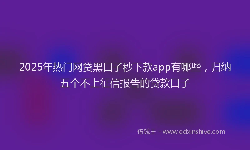 2025年热门网贷黑口子秒下款app有哪些，归纳五个不上征信报告的贷款口子