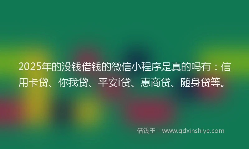 2025年的没钱借钱的微信小程序是真的吗有：信用卡贷、你我贷、平安i贷、惠商贷、随身贷等。