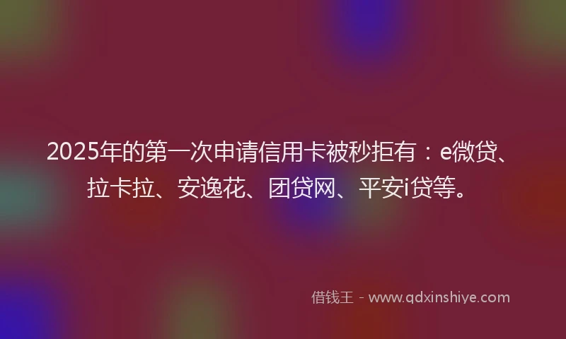 2025年的第一次申请信用卡被秒拒有：e微贷、拉卡拉、安逸花、团贷网、平安i贷等。