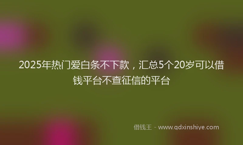 2025年热门爱白条不下款，汇总5个20岁可以借钱平台不查征信的平台