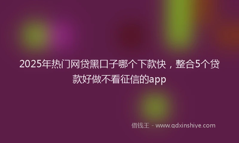 2025年热门网贷黑口子哪个下款快，整合5个贷款好做不看征信的app