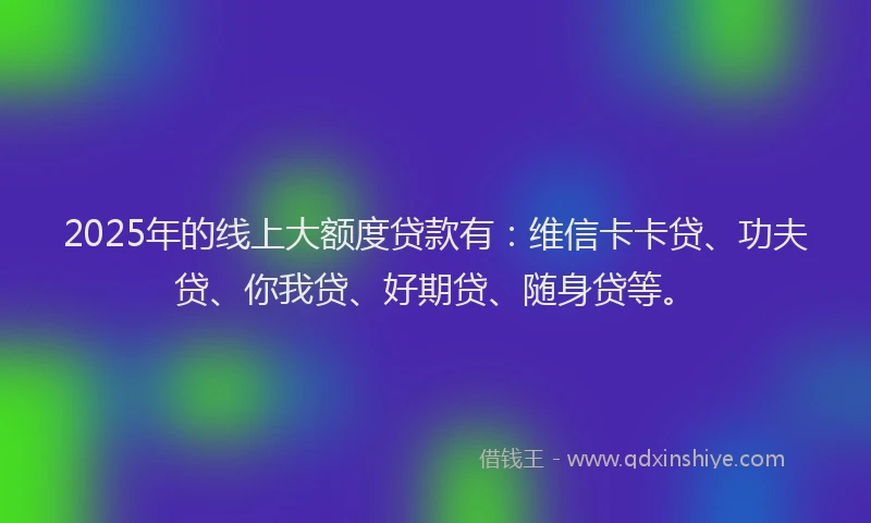2025年的线上大额度贷款有：维信卡卡贷、功夫贷、你我贷、好期贷、随身贷等。