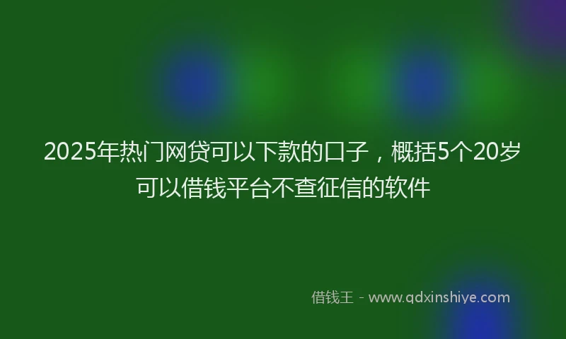 2025年热门网贷可以下款的口子，概括5个20岁可以借钱平台不查征信的软件