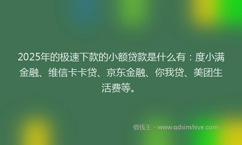 2025年的极速下款的小额贷款是什么有：度小满金融、维信卡卡贷、京东金融、你我贷、美团生活费等。