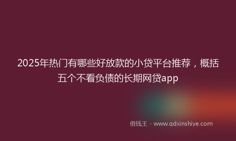 2025年热门有哪些好放款的小贷平台推荐，概括五个不看负债的长期网贷app