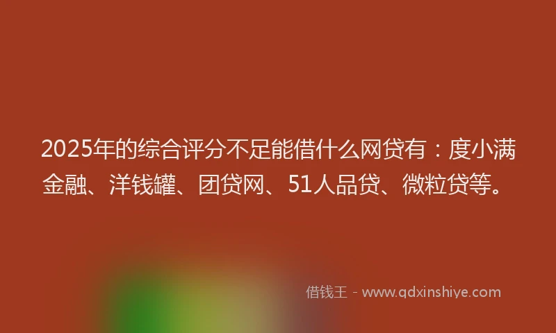 2025年的综合评分不足能借什么网贷有：度小满金融、洋钱罐、团贷网、51人品贷、微粒贷等。
