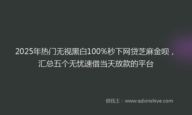 2025年热门无视黑白100%秒下网贷芝麻金呗，汇总五个无忧速借当天放款的平台