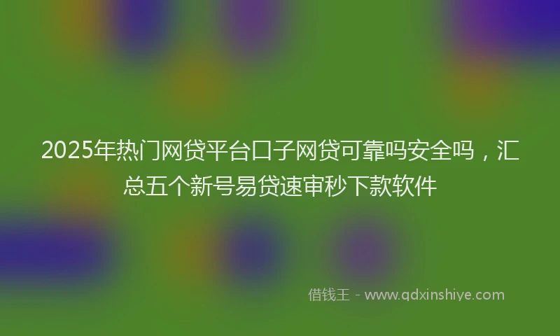 2025年热门网贷平台口子网贷可靠吗安全吗，汇总五个新号易贷速审秒下款软件