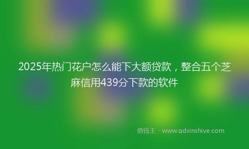 2025年热门花户怎么能下大额贷款，整合五个芝麻信用439分下款的软件