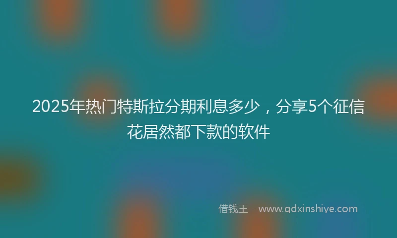 2025年热门特斯拉分期利息多少，分享5个征信花居然都下款的软件