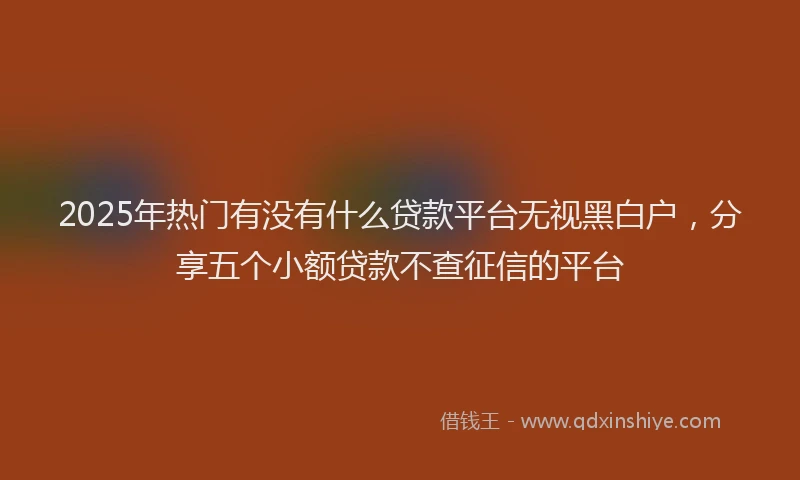 2025年热门有没有什么贷款平台无视黑白户，分享五个小额贷款不查征信的平台