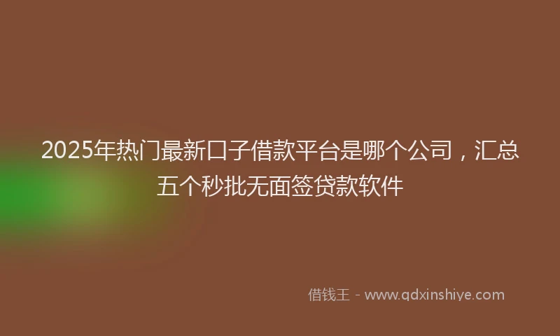 2025年热门最新口子借款平台是哪个公司，汇总五个秒批无面签贷款软件