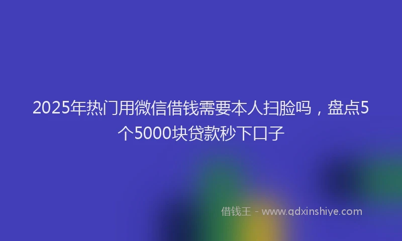 2025年热门用微信借钱需要本人扫脸吗，盘点5个5000块贷款秒下口子