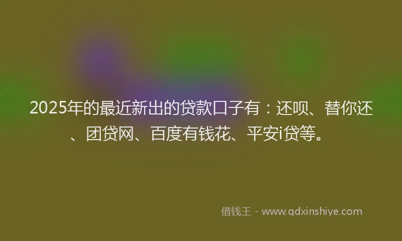 2025年的最近新出的贷款口子有：还呗、替你还、团贷网、百度有钱花、平安i贷等。