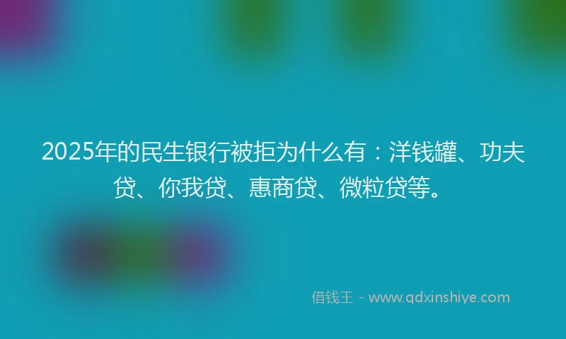 2025年的民生银行被拒为什么有：洋钱罐、功夫贷、你我贷、惠商贷、微粒贷等。