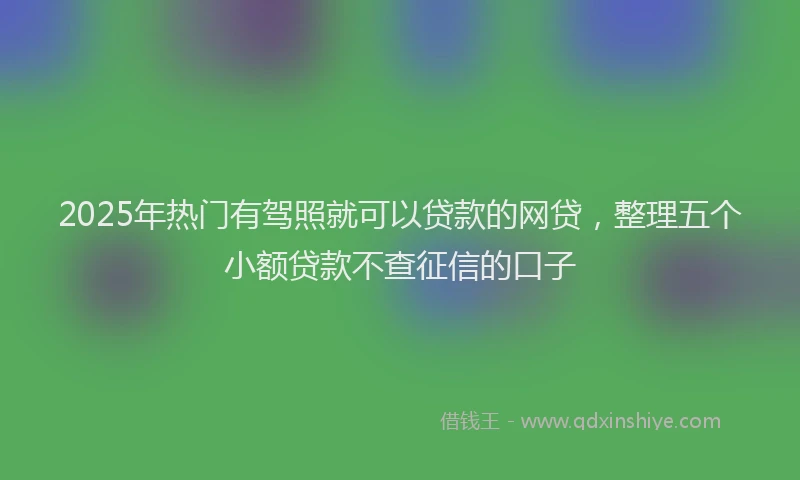 2025年热门有驾照就可以贷款的网贷，整理五个小额贷款不查征信的口子