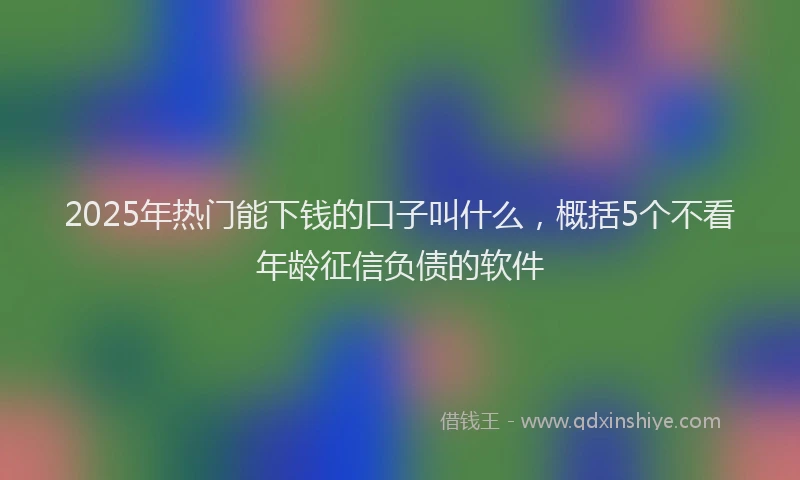2025年热门能下钱的口子叫什么，概括5个不看年龄征信负债的软件