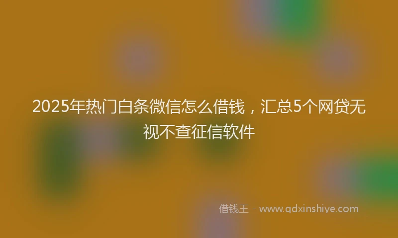 2025年热门白条微信怎么借钱，汇总5个网贷无视不查征信软件