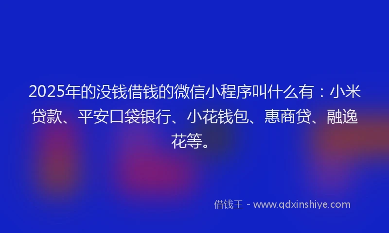 2025年的没钱借钱的微信小程序叫什么有：小米贷款、平安口袋银行、小花钱包、惠商贷、融逸花等。