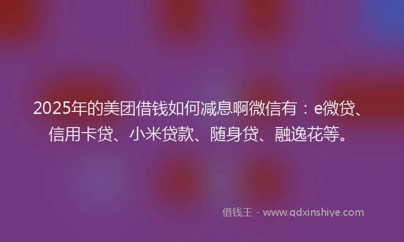 2025年的美团借钱如何减息啊微信有：e微贷、信用卡贷、小米贷款、随身贷、融逸花等。