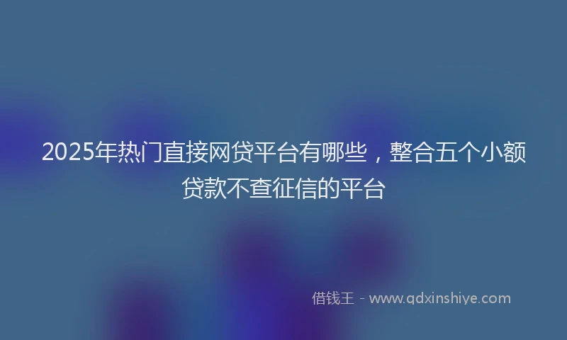 2025年热门直接网贷平台有哪些，整合五个小额贷款不查征信的平台
