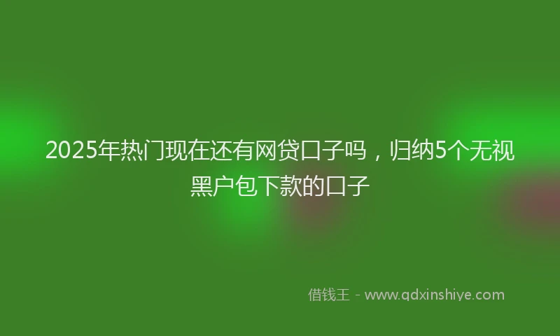 2025年热门现在还有网贷口子吗，归纳5个无视黑户包下款的口子