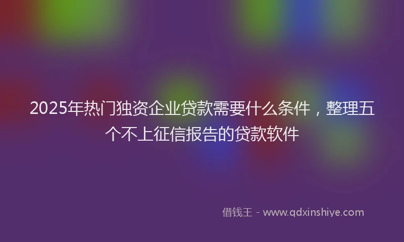 2025年热门独资企业贷款需要什么条件，整理五个不上征信报告的贷款软件
