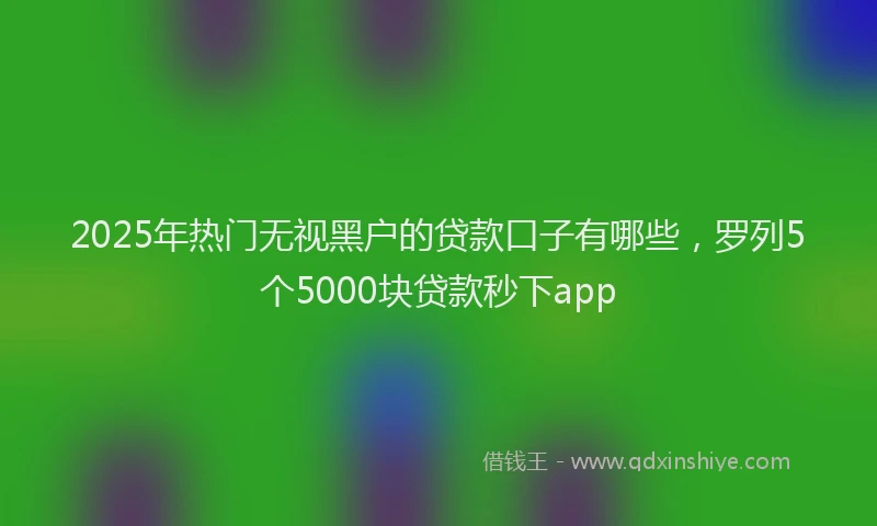 2025年热门无视黑户的贷款口子有哪些，罗列5个5000块贷款秒下app