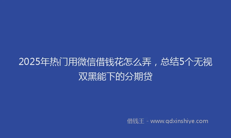 2025年热门用微信借钱花怎么弄，总结5个无视双黑能下的分期贷