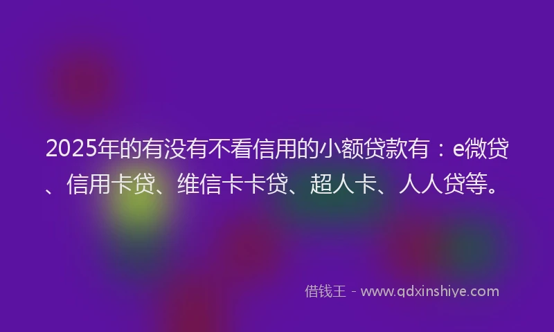 2025年的有没有不看信用的小额贷款有：e微贷、信用卡贷、维信卡卡贷、超人卡、人人贷等。