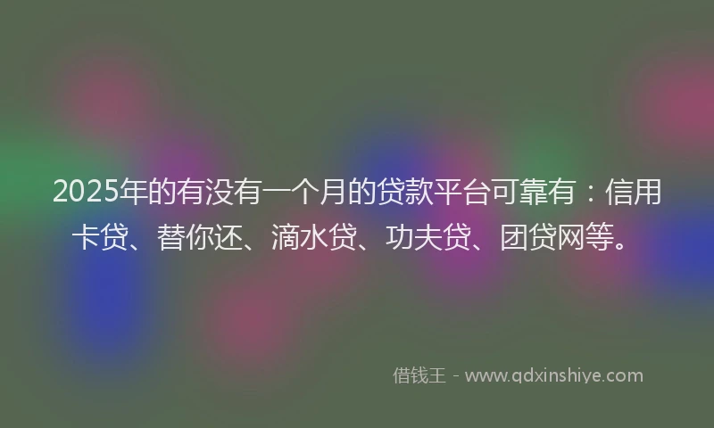 2025年的有没有一个月的贷款平台可靠有：信用卡贷、替你还、滴水贷、功夫贷、团贷网等。