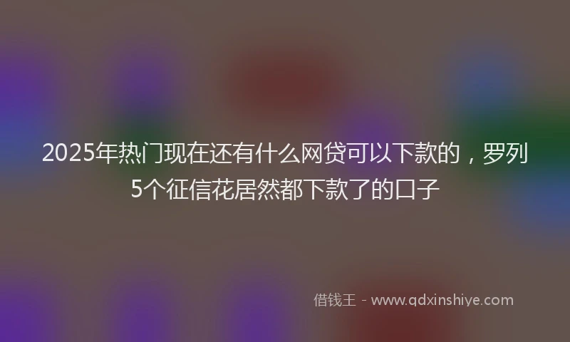 2025年热门现在还有什么网贷可以下款的，罗列5个征信花居然都下款了的口子
