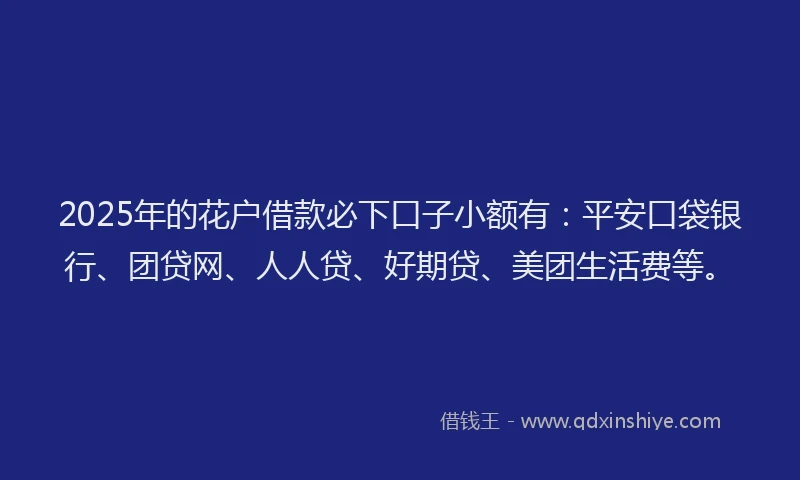 2025年的花户借款必下口子小额有：平安口袋银行、团贷网、人人贷、好期贷、美团生活费等。