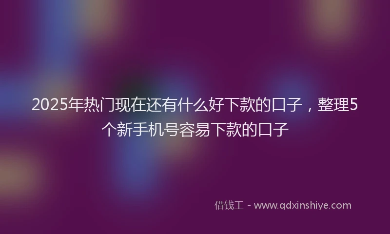 2025年热门现在还有什么好下款的口子，整理5个新手机号容易下款的口子