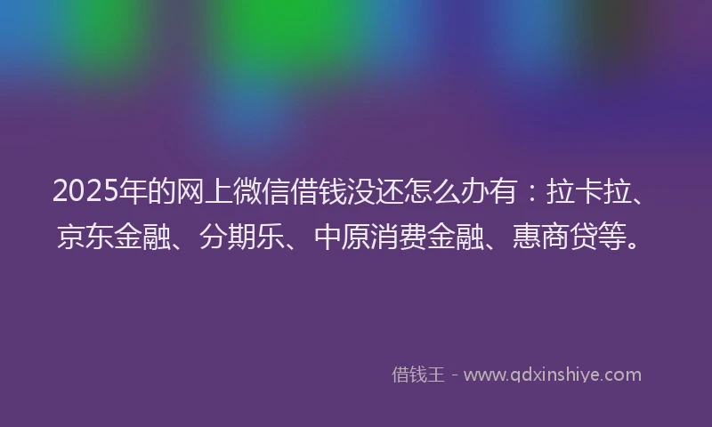 2025年的网上微信借钱没还怎么办有：拉卡拉、京东金融、分期乐、中原消费金融、惠商贷等。